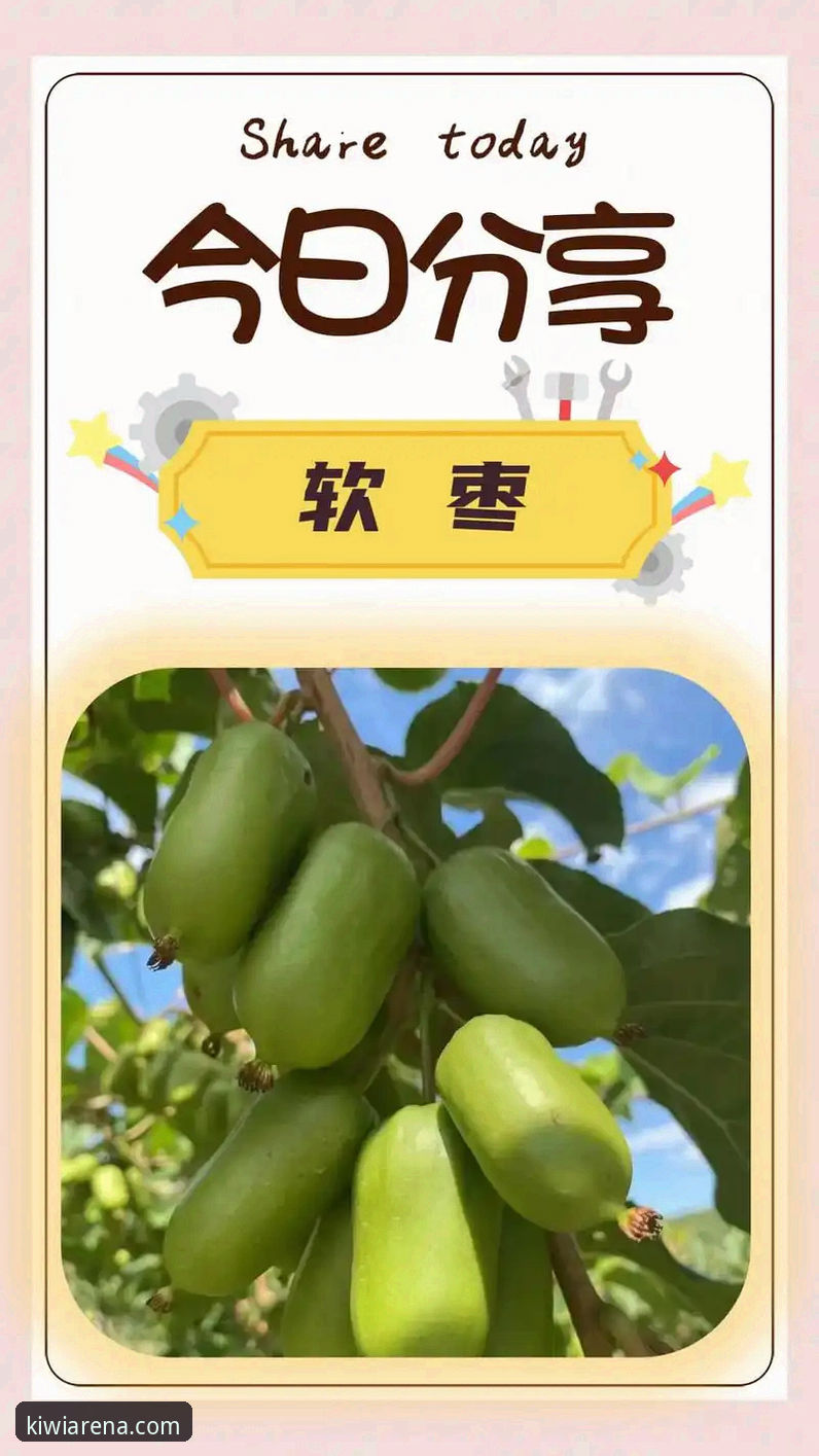 奇异果体育官方下载 奇异果体育平台实用指南:从官方下载到赛事数据解析的必备知识